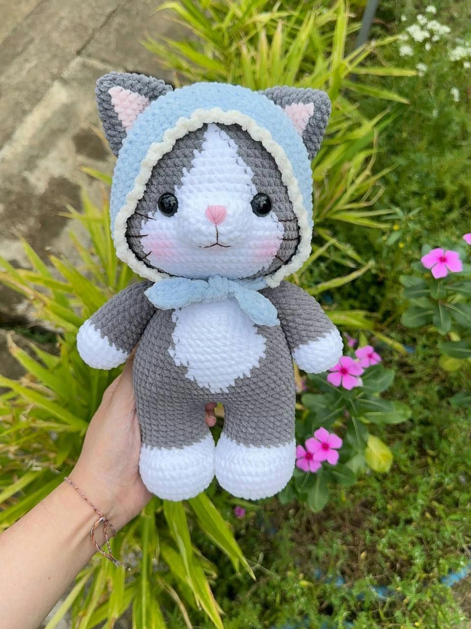 Kitten with Hood