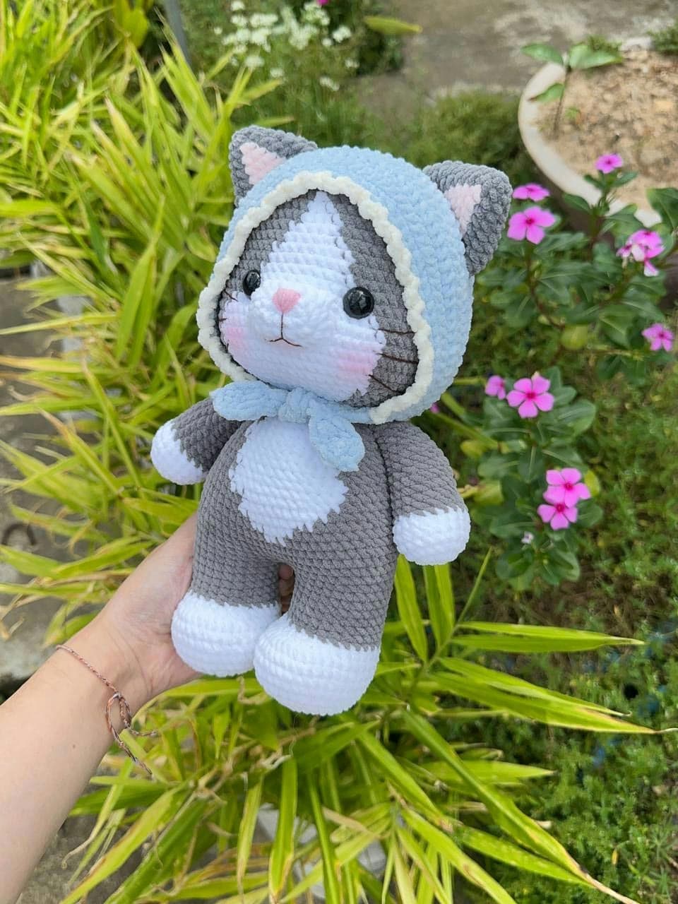 Kitten with Hood