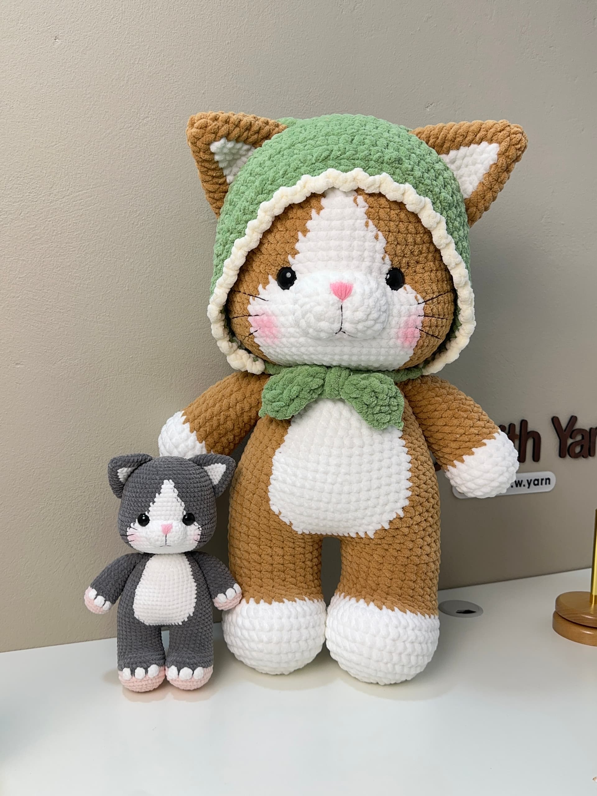 Kitten with Hood